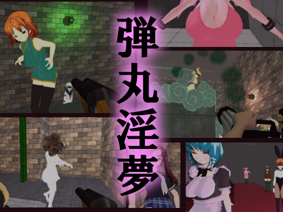 弾丸淫夢