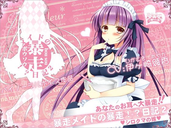 暴走メイドの妄想!?日記２