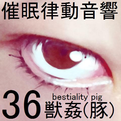 催眠律動音響セット36 獣姦(豚)