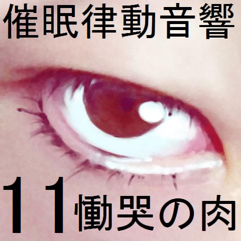 催眠律動音響セット11 慟哭の肉