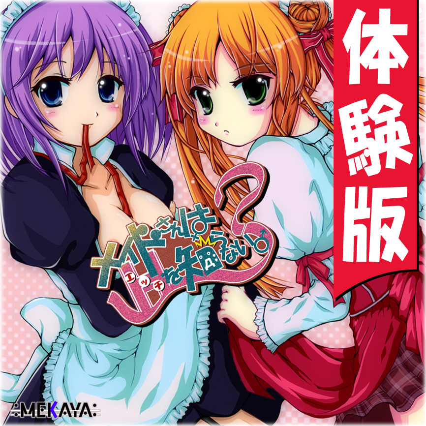 メイドさんはＨを知らない。