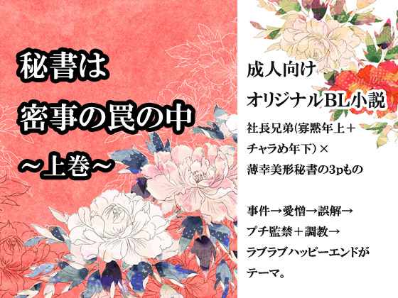 秘書は密事の罠の中 ～上巻～