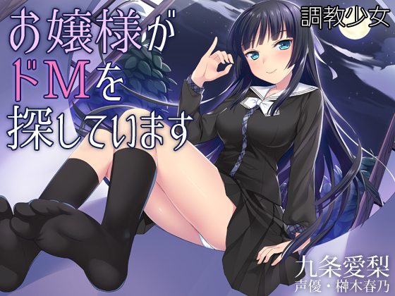 お嬢様がドＭを探しています
