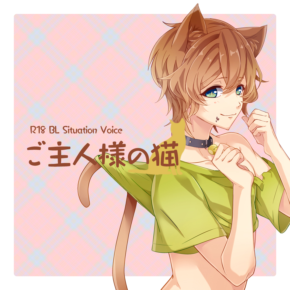 ご主人様の猫