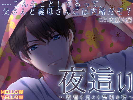 夜這い～義理の兄との禁断の夜～