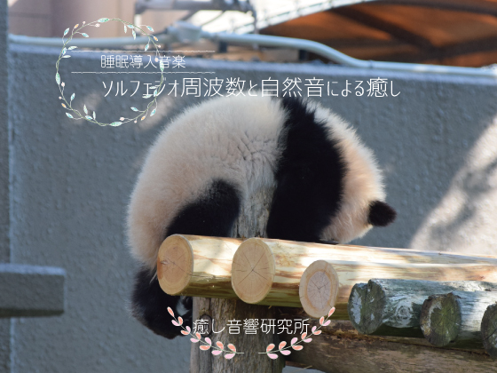 ソルフェジオ周波数と自然音による癒し