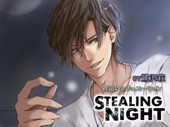 STEALING NIGHT ～夜這いシチュエーション～