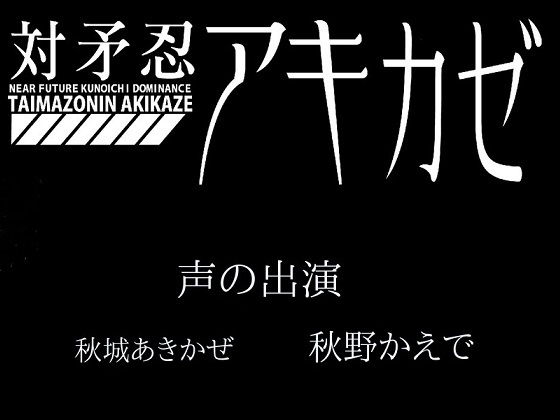 対矛忍アキカゼ