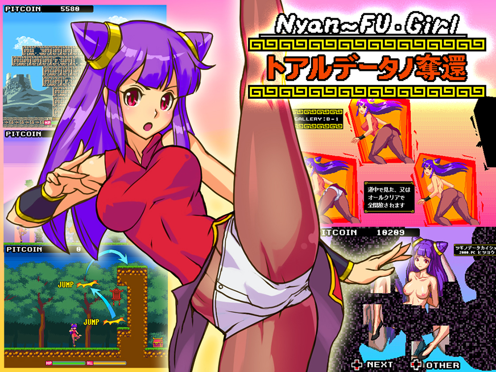 ニャンフーガール：トアルデータノ奪還