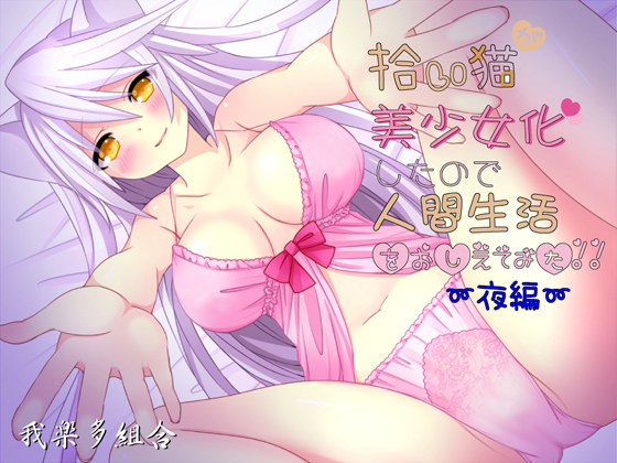 拾い猫が美少女化したので人間生活教えてみた～夜編～
