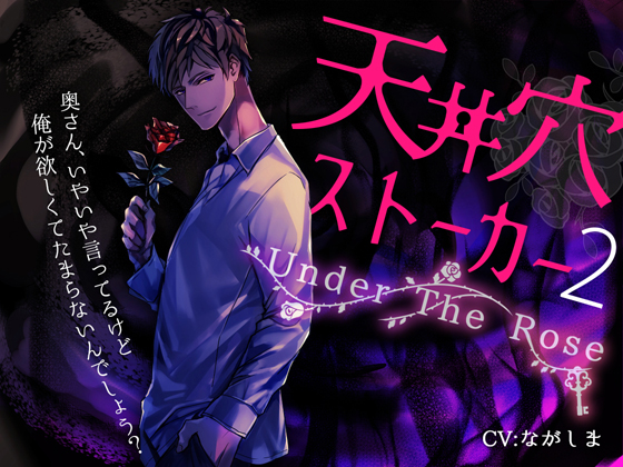 天井穴ストーカー2～Under The Rose