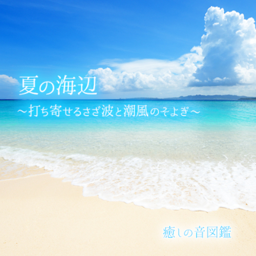 【ASMR環境音】夏の海辺 〜打ち寄せるさざ波と潮風のそよぎ〜