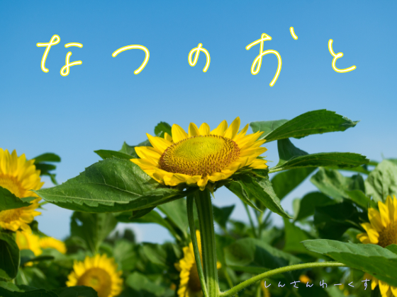 夏の環境音素材集『なつのおと』体験版