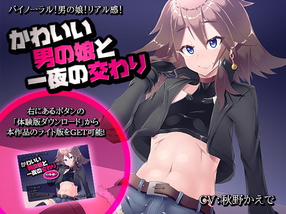 かわいい男の娘と一夜の交わり