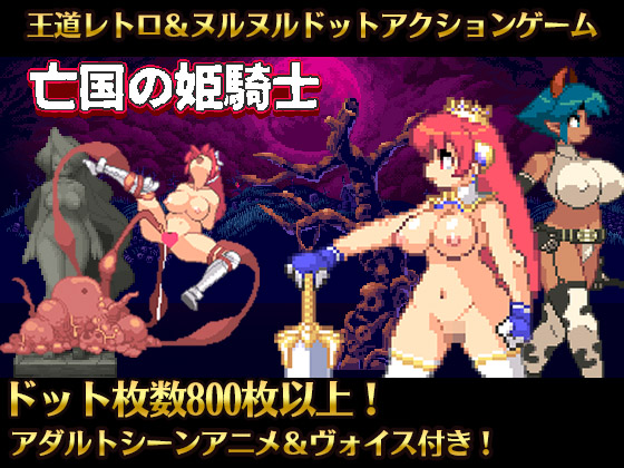 亡国の姫騎士エリス