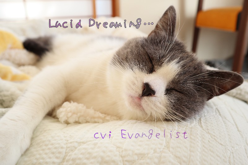 ASMR■Lucid Dreaming
