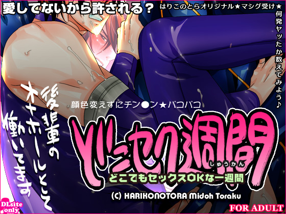 どこセク週間～どこでもセックスOKな一週間～