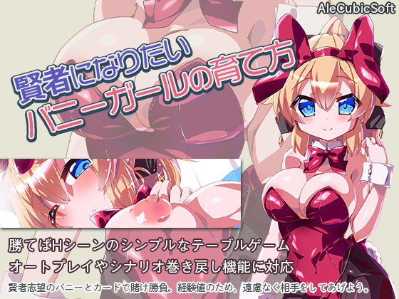 賢者になりたいバニーガールの育て方