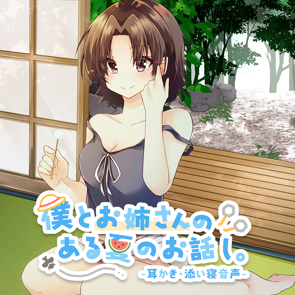 僕とお姉さんの、ある夏のお話し。
