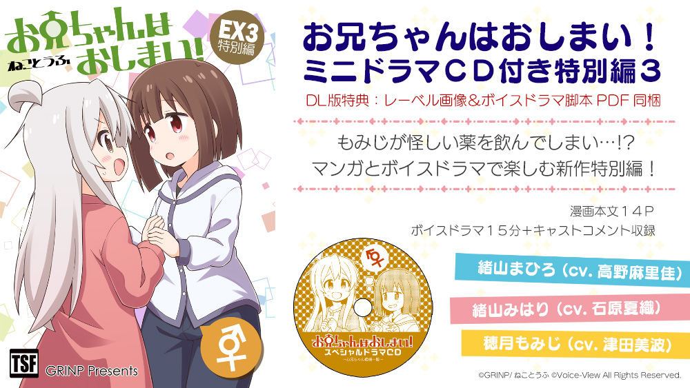 お兄ちゃんはおしまい!特別編３