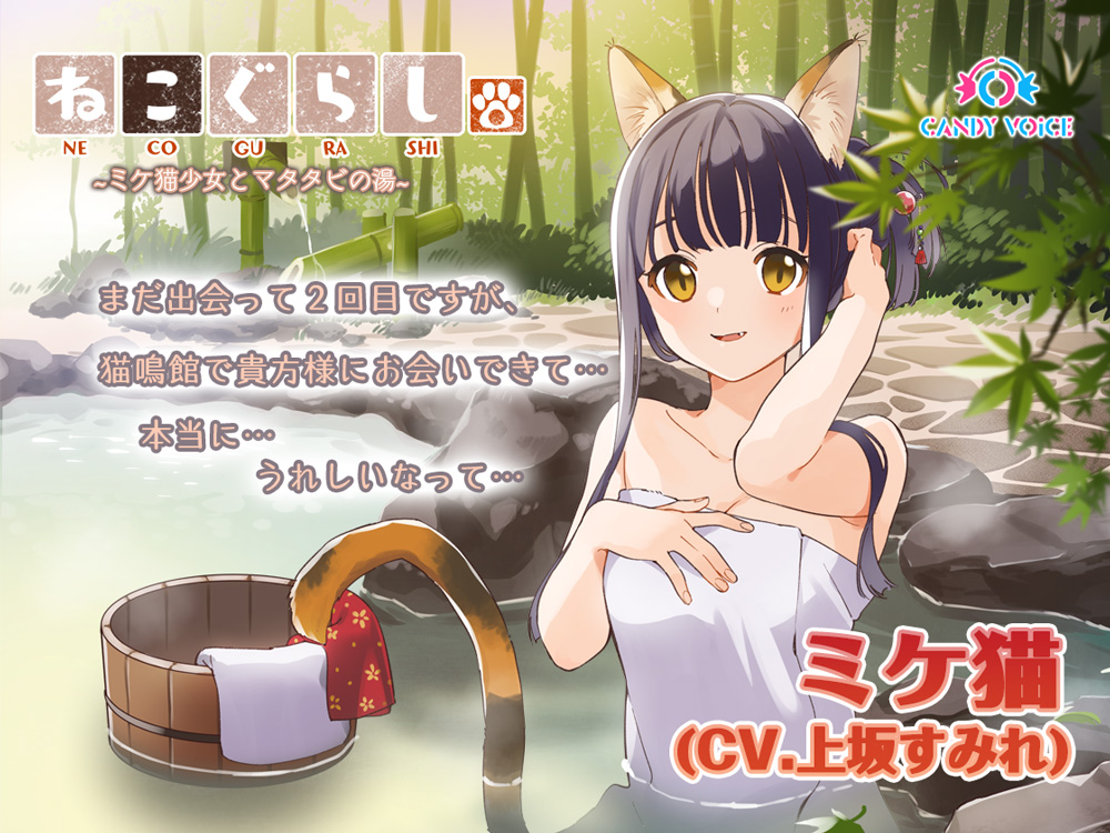 【耳かき・ねこじゃらし】ねこぐらし。２〜ミケ猫少女とマタタビの湯〜【CV: 上坂すみれ】