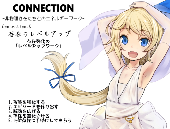 Connection -非物理存在たちとのエネルギーワーク- コネクション第5巻：存在のレベルアップ