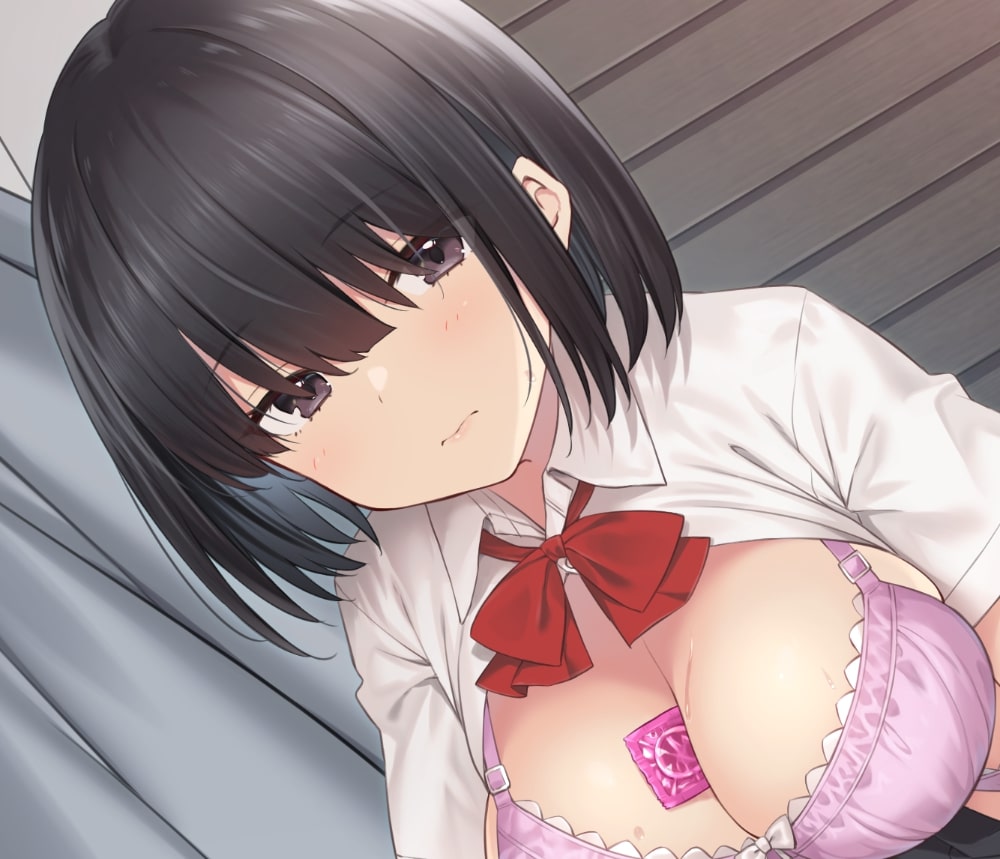 無表情な妹の甘々でちょっとイジワルな愛され性欲処理♪