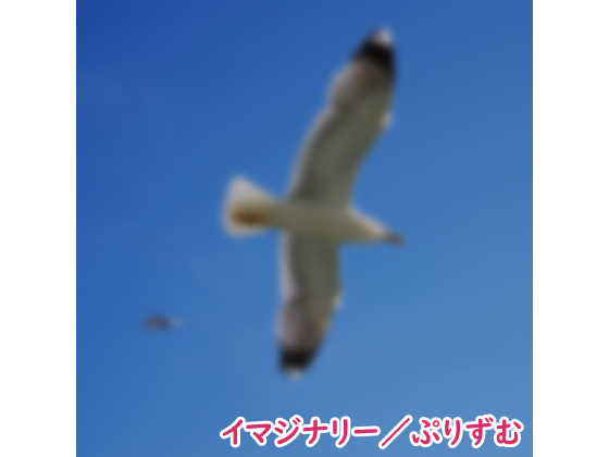 【シングル】イマジナリー／ぷりずむ