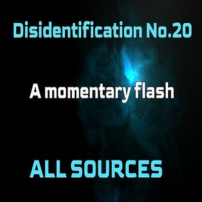 Disidentification_No.20_A momentary flash_Sample（アップデート後）