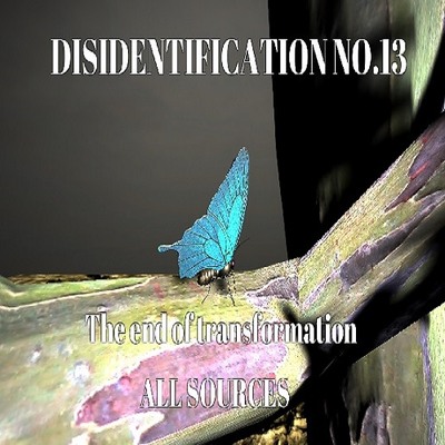 Disidentification_No.13_The end of transformation_Sample（アップデート後）