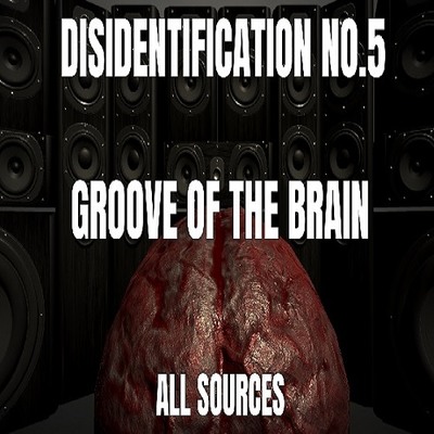 Disidentification_No.5_Groove of the brain_Sample（アップデート後）