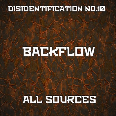 Disidentification_No.10_Backflow_Sample（アップデート後）