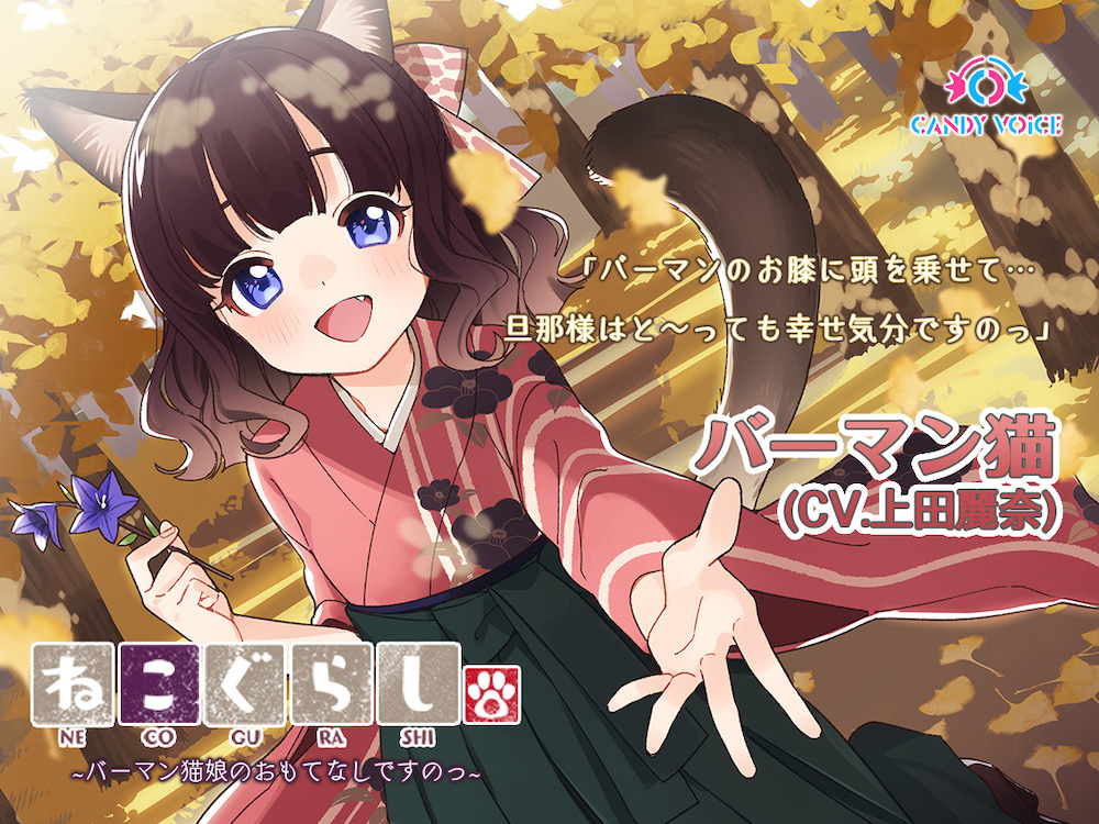 【耳かき・吐息】ねこぐらし。３〜バーマン猫娘のおもてなしですのっ〜【CV: 上田麗奈】