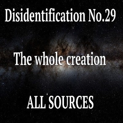Disidentification_No.29_The whole creation_Sample
