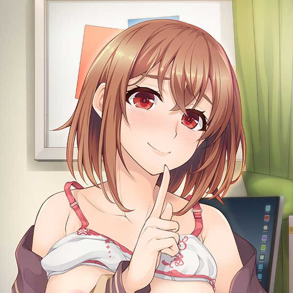 義理の姉となった彼女（わたし）と、親に内緒で恋人になる方法