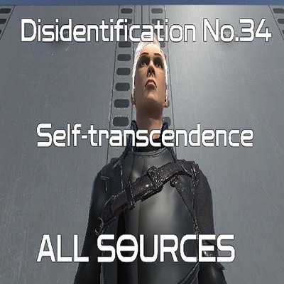 Disidentification_No.34_Self-transcendence_Sample
