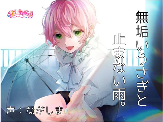 無垢(くろ)いうさぎと止まない雨。
