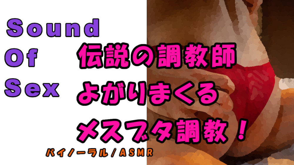 ノンフィクションSEXボイス！実録！ガチムチ熊系調教師が首絞め、スパンキング、言葉責めで尻でかメスブタを調教完了！　ASMR/バイノーラル/催眠音声/M女/凌辱