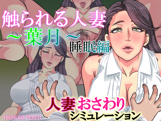 触られる人妻 ～葉月～睡眠編