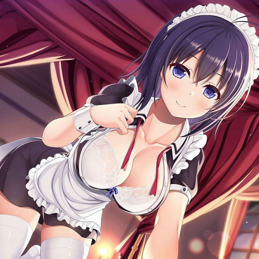 メイドさんといっしょ♪～貴方に捧げる癒しの耳かきと夜のご奉仕～