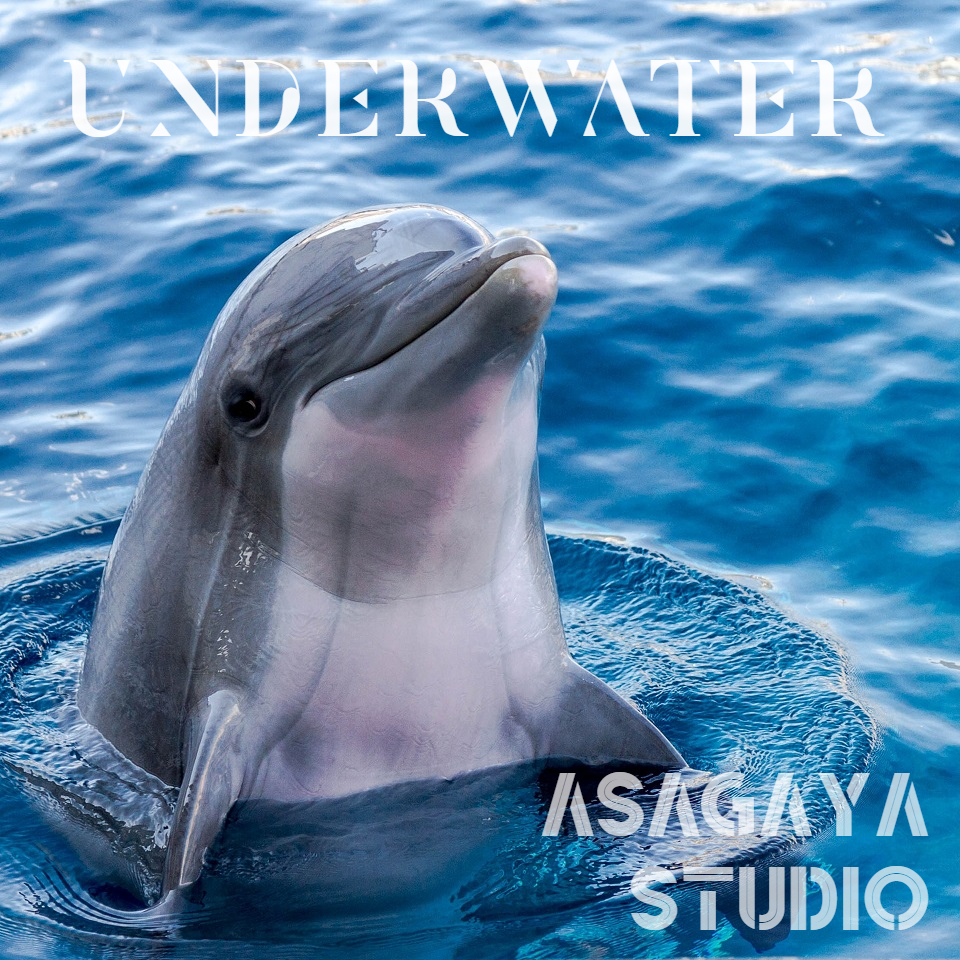 純正率 UNDERWATER 海獣 唯一無二 本物の音 癒しのアンビエントミュージック