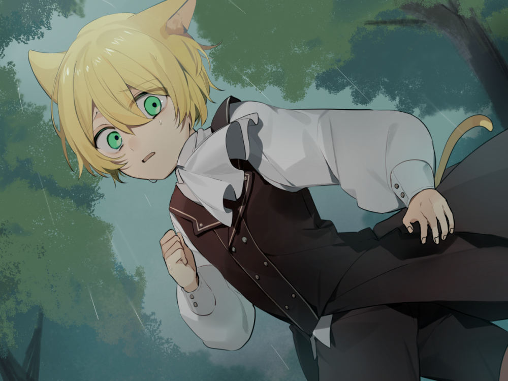けもミミ少年のコイビト