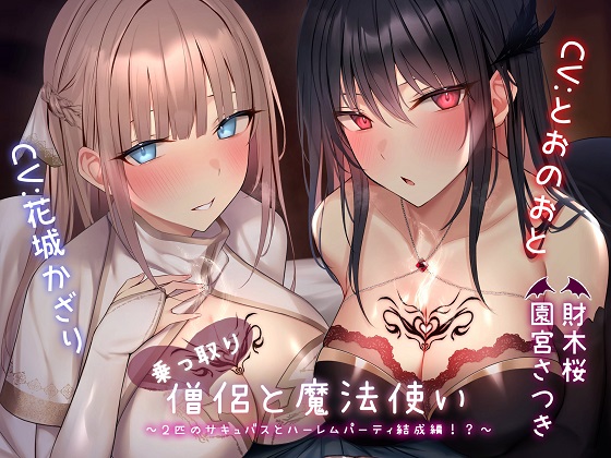乗っ取り僧侶と魔法使い～2匹のサキュバスとハーレムパーティ結成編!?～