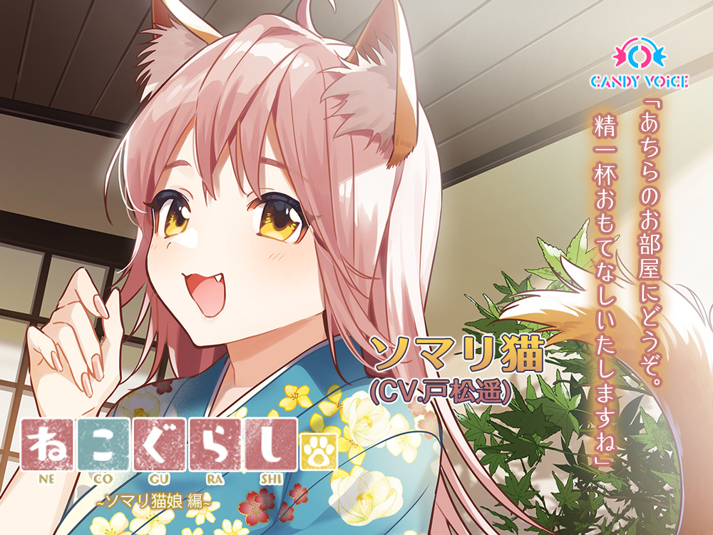 【耳かき・吐息】新・ねこぐらし。〜ソマリ猫娘  編〜【CV :戸松遥】