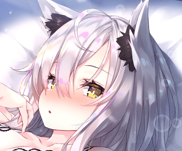 好感度120%超え!? クーデレ狼ちゃんとの幸せいっぱいな休日