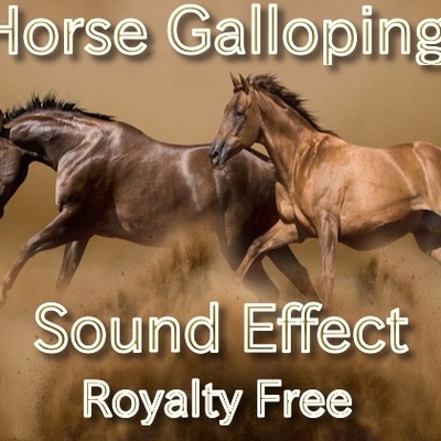 馬の走る 足音 効果音01 試聴用サンプル