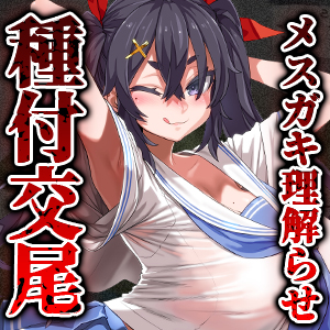 痴漢冤罪にされかけたのでクソ生意気なメスガキを種付交尾で理解らせる