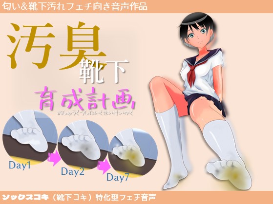 汚臭靴下育成計画