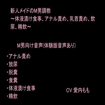 おしっこ漬け5日間調教