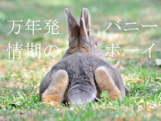 万年発情期のバニーボーイ